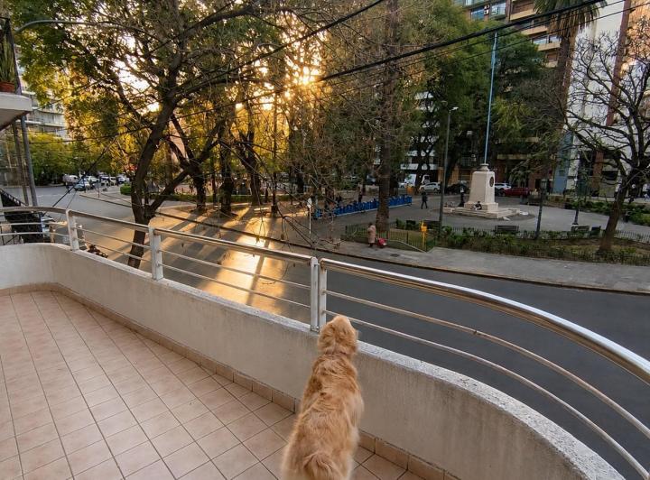 Departamento · 250m² · 6 Ambientes · 2 Cocheras