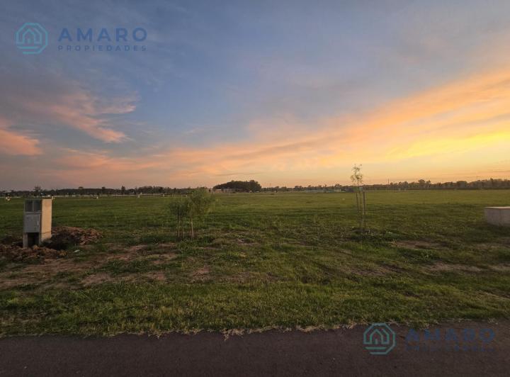 Terreno · 736m²