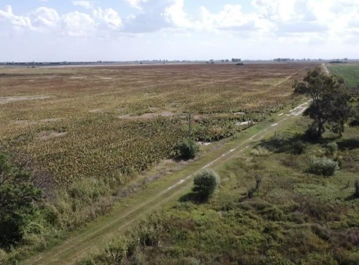 Terreno · 15850000m²