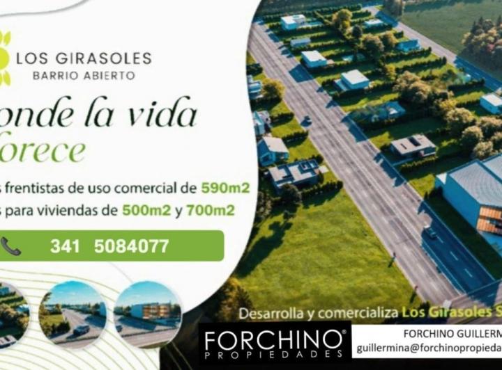 Terreno · 586m²