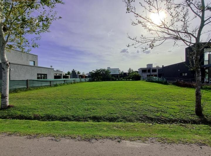Terreno · 927m²