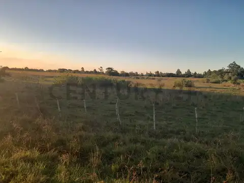 Campo en Venta en Bella Vista, Corrientes