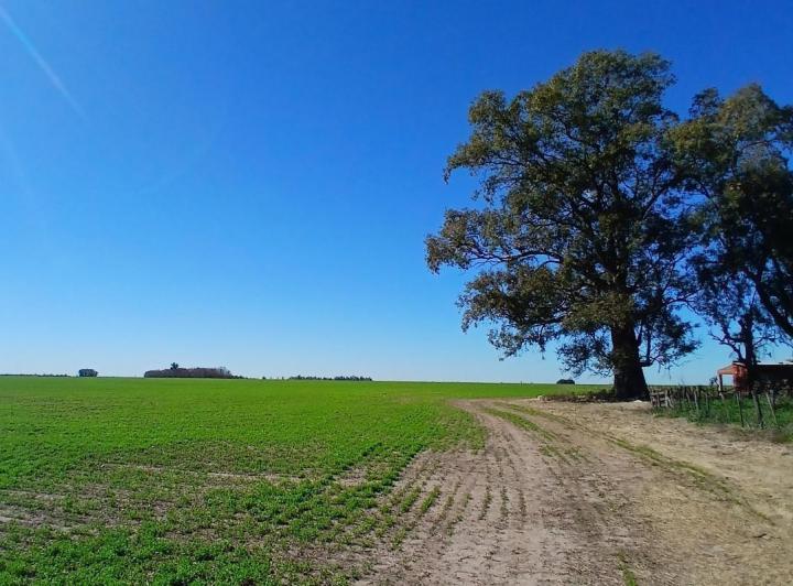 Campo · 2015000m²