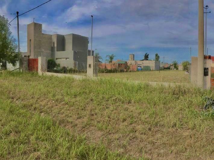 Terreno