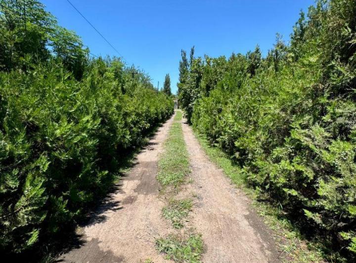 Terreno · 374m² · 8 Ambientes