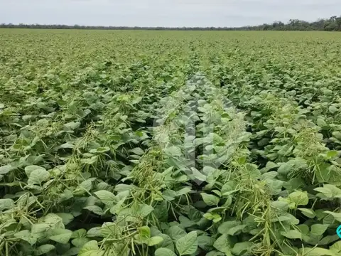 Campo en Venta en Zona Norte, Salta