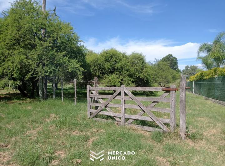 Terreno · 1000m²