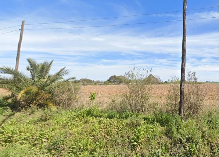 Campo · 250000m² · 1 Ambiente
