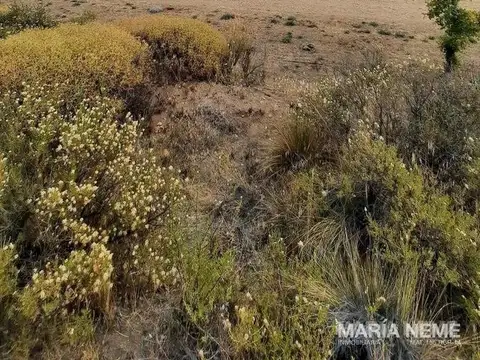 Terreno en Venta en Dina Huapi, Pilcaniyeu