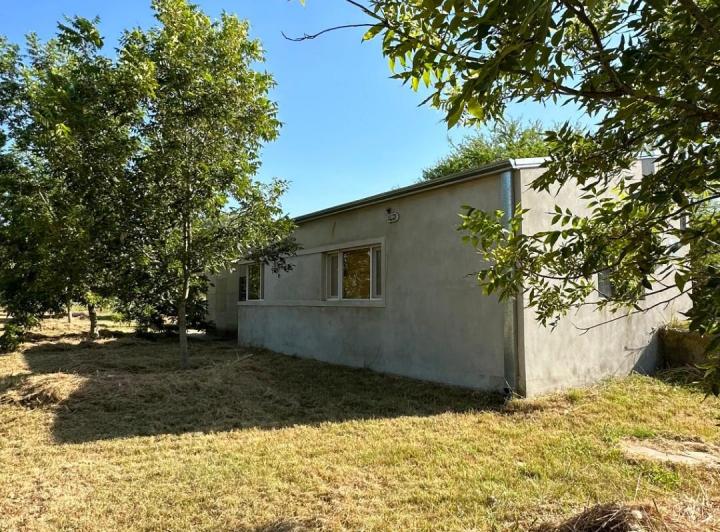Campo · 45m²