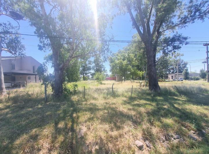 Terreno · 2000m²