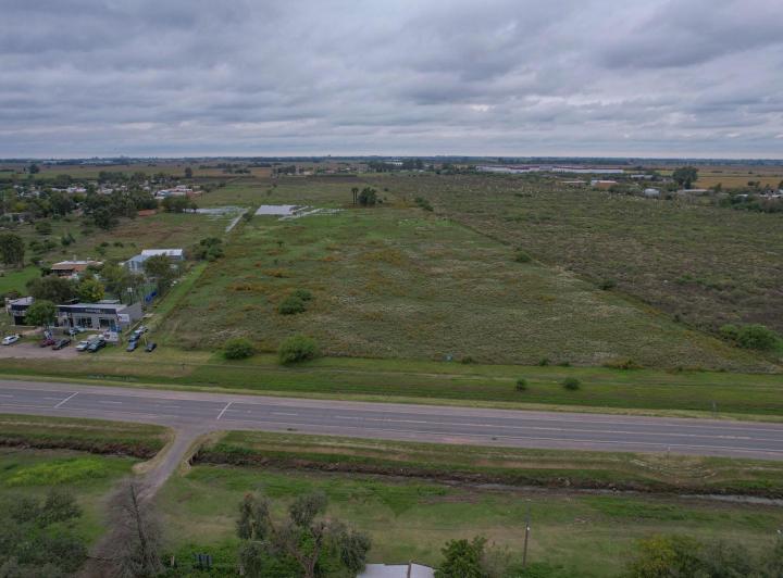 Campo · 143700ha