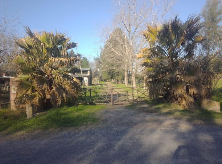 Campo · 58349m²