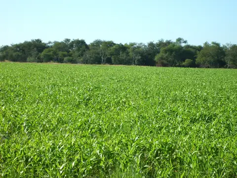 Campo en Venta en Federal, Entre Ríos