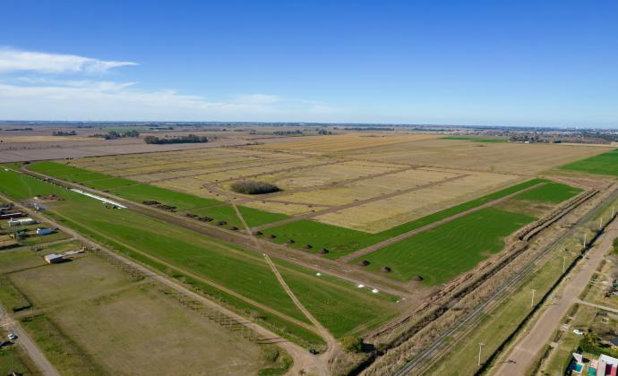 Terreno · 1000m²