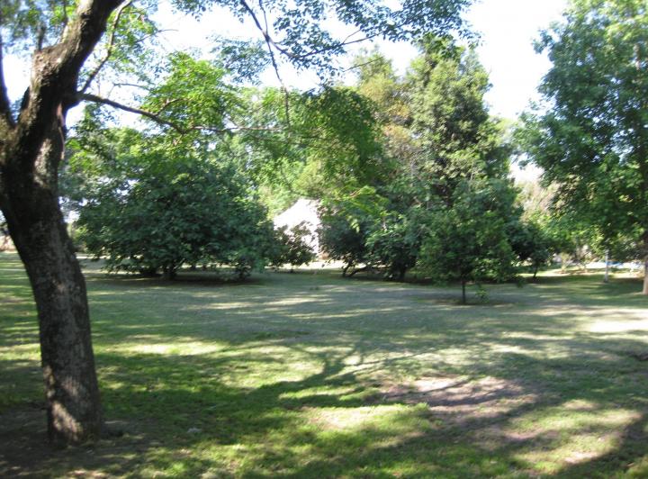 Terreno · 2250m²