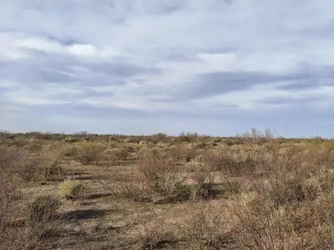 Campo en Venta en El Rosario, Lavalle