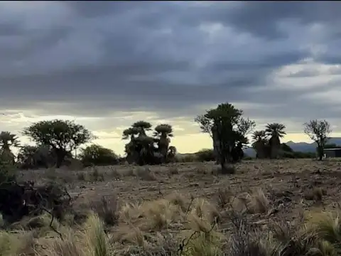 Campo en Venta en Salsacate, Pocho