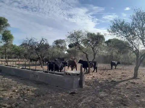 Campo en Venta en El Chacho, Minas