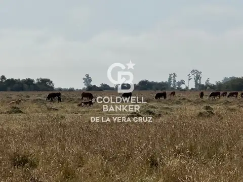 Campo en Venta en San Cristóbal, Santa Fe