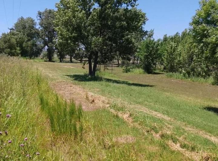 Campo · 10000m²