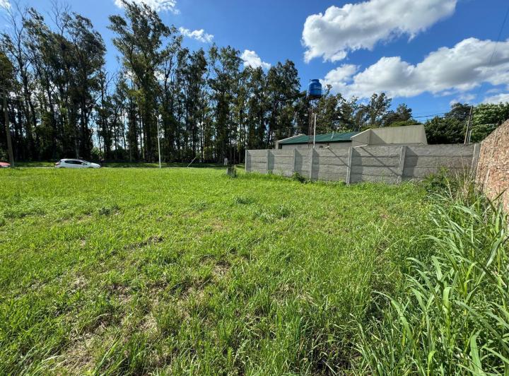 Terreno · 325m²