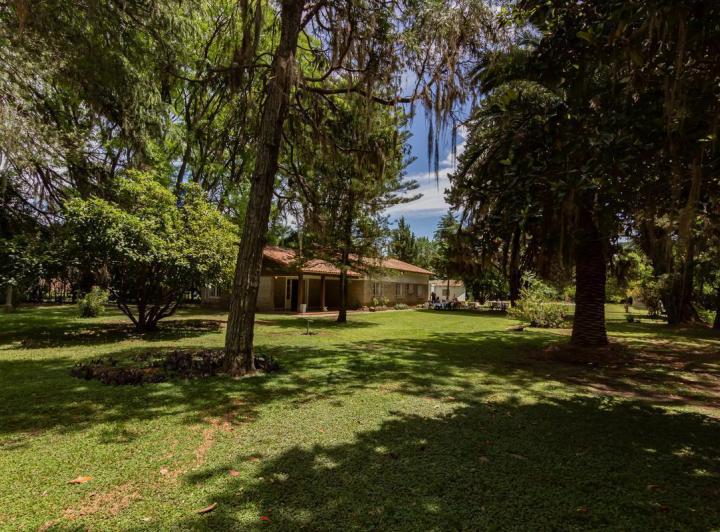 Terreno · 392m² · 8 Ambientes