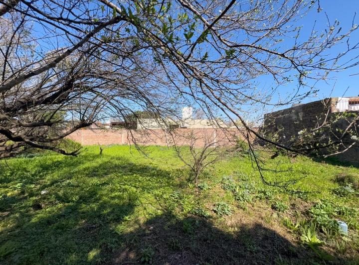 Terreno · 728m²
