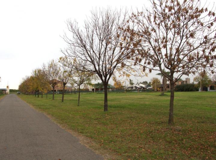Terreno · 756m²