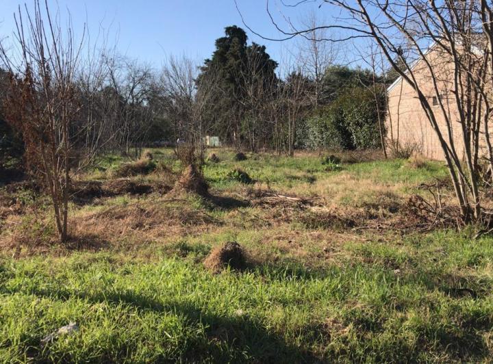 Terreno · 1032m²
