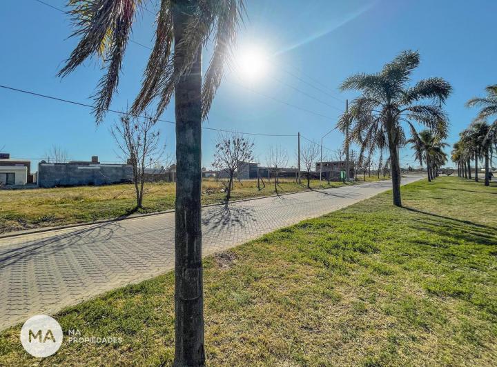Terreno · 288m²