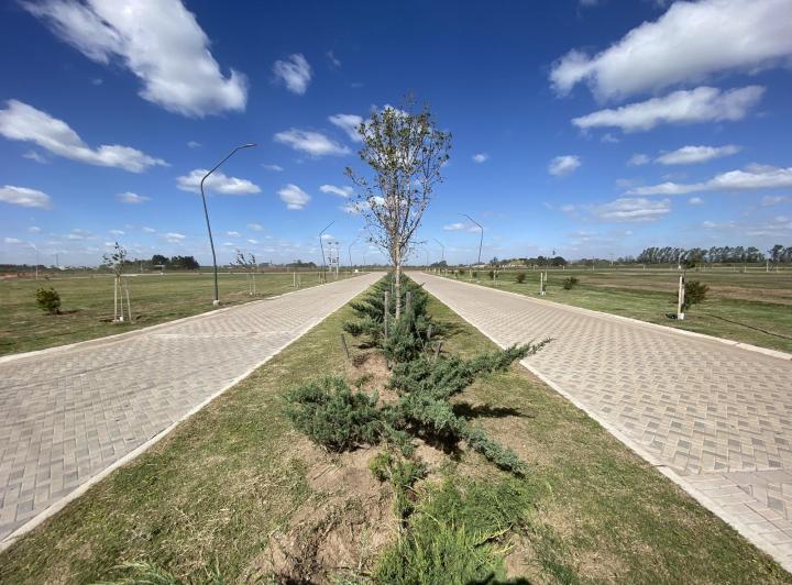Terreno · 456m²