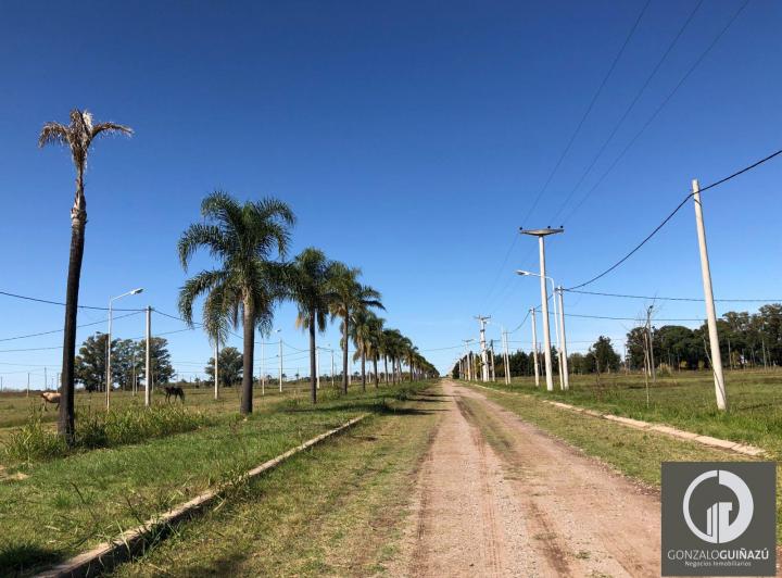Terreno · 650m²