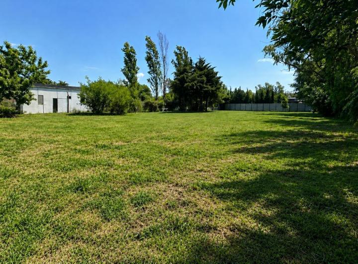 Terreno · 1264m²