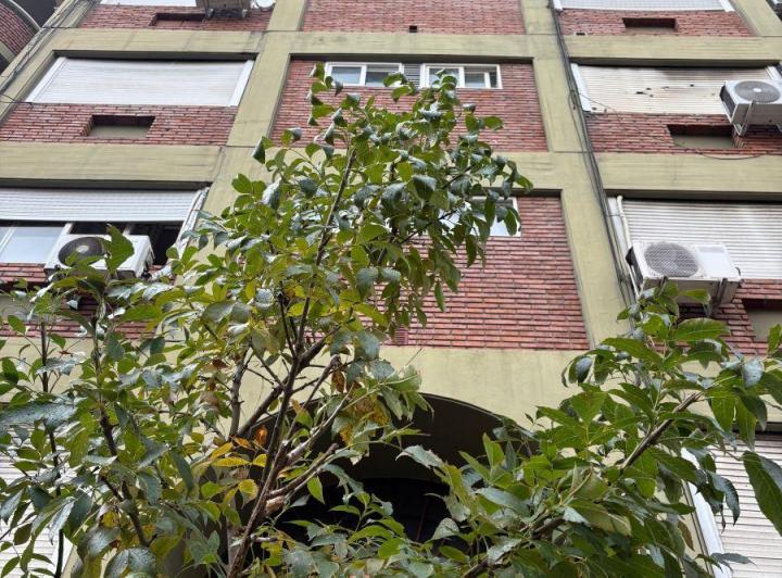 Departamento · 24m² · 1 Ambiente