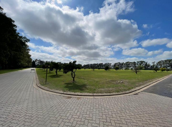 Terreno · 12000m²