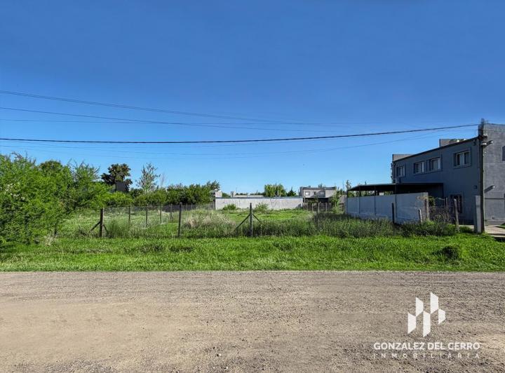 Terreno · 1000m²