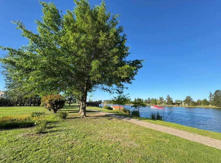 Terreno · 1539m²