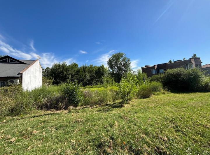 Terreno · 1032m²