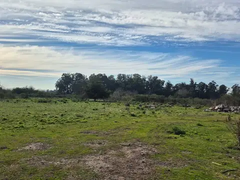 Campo en Venta en Arturo Segui, Partido de La Plata