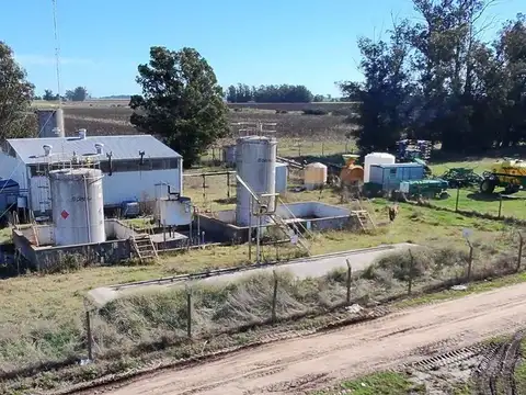 Campo en Venta en Loberia, Partido de Lobería