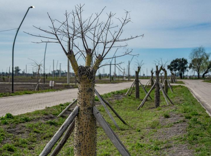 Terreno · 360m²