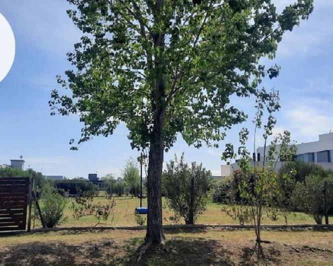 Terreno · 878m²