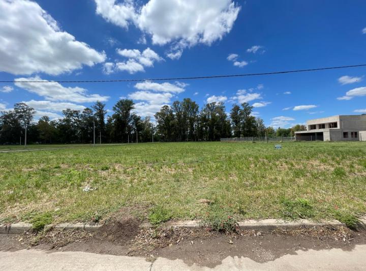 Terreno · 367m²