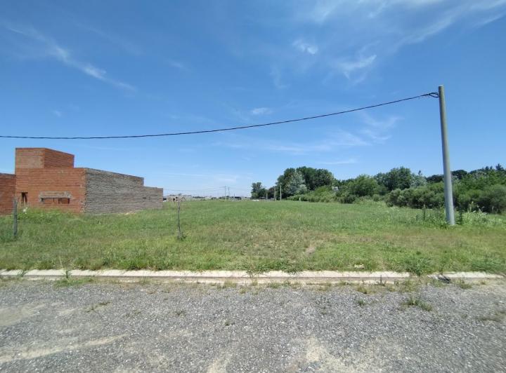 Terreno · 3198m²