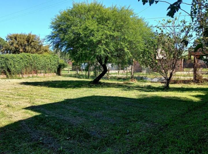 Terreno · 1000m²