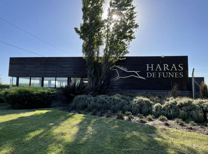 Terreno · 1035m²