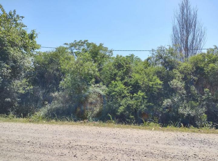 Terreno · 1102m²