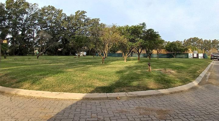 Terreno · 1000m²