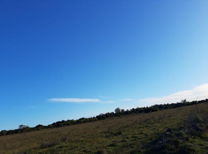 Campo · 89ha